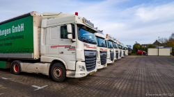 20251129-Lewiszong-00038